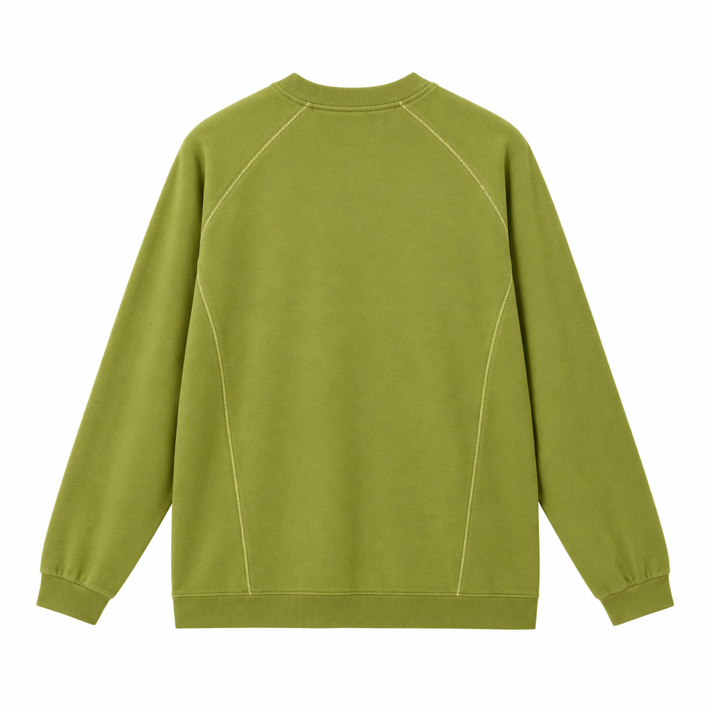 Men's matcha green raglan sleeve t-shirt back view.